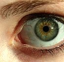 130px-Green_eye_lashes