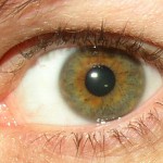 Different Shades Of Brown Eyes Chart