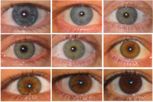 Shades Of Green Eyes Chart